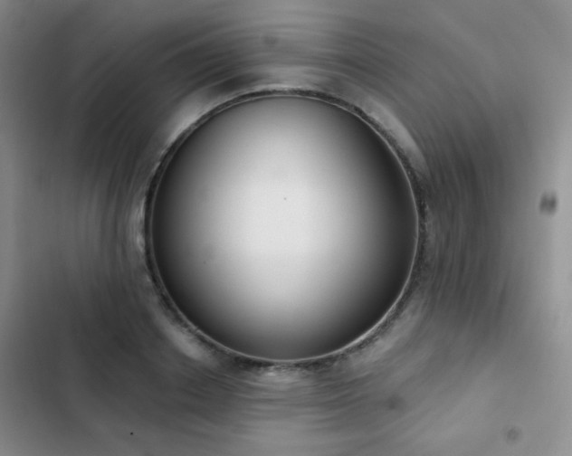 X0000102850842200808181416