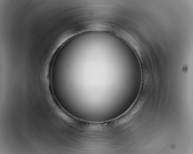 X0000102850843200808181416