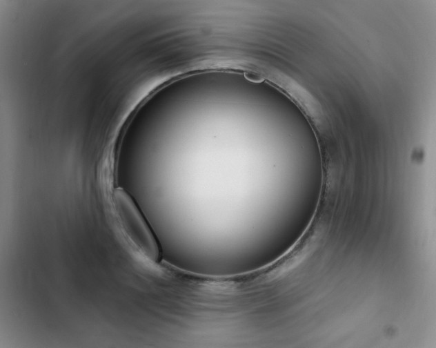 X0000102850844200808181416