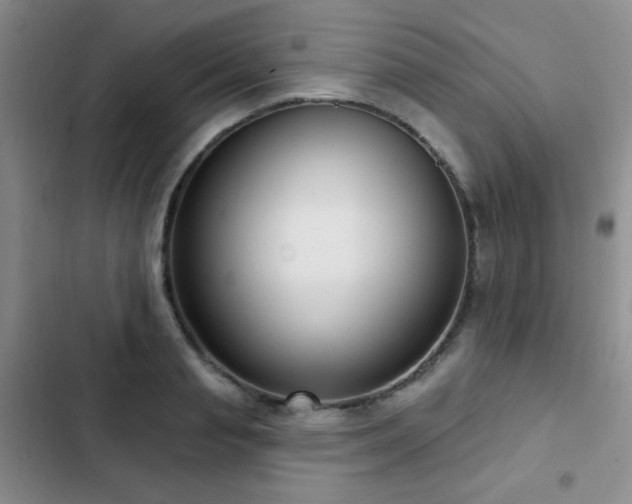 X0000102850845200808181416
