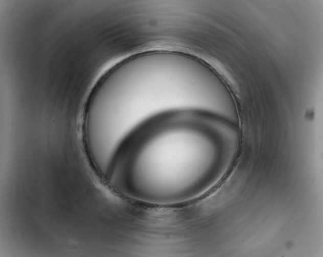 X0000102850846200808181416