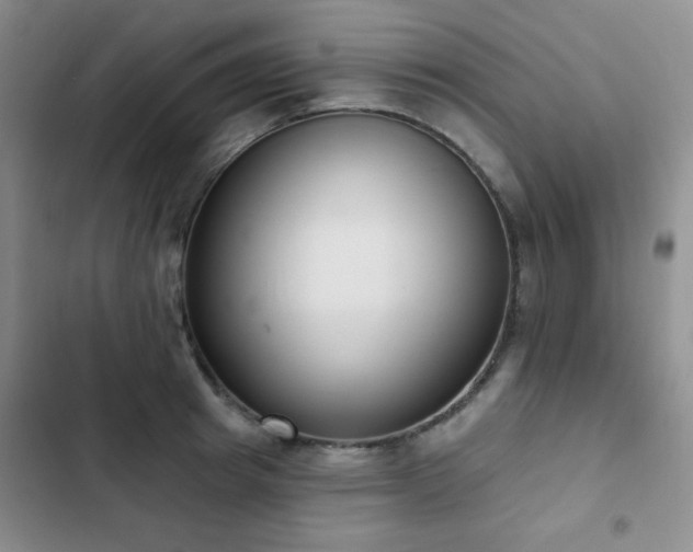 X0000102850849200808181416