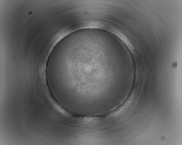 X0000102850850200808181416