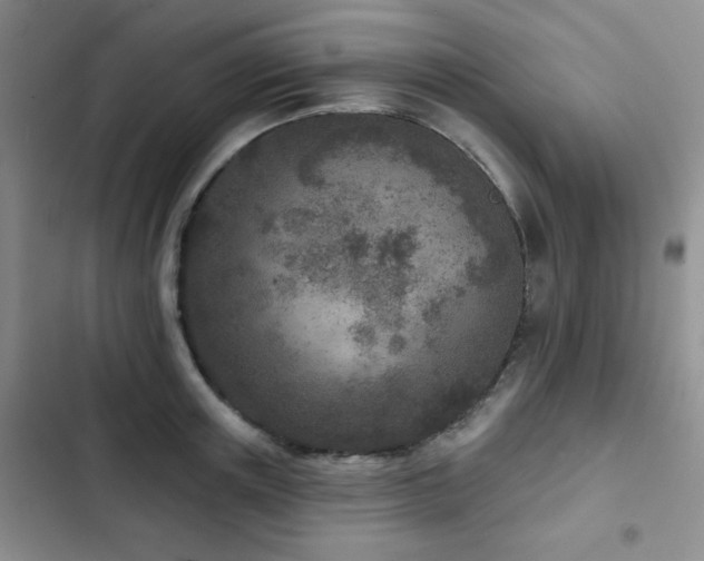 X0000102850851200808181416