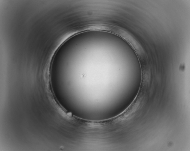 X0000102850852200808181416