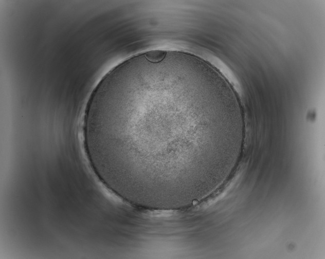 X0000102850853200808181416