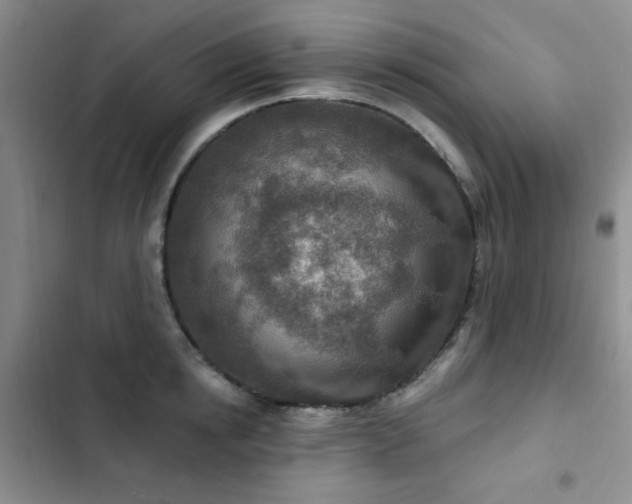 X0000102850854200808181416