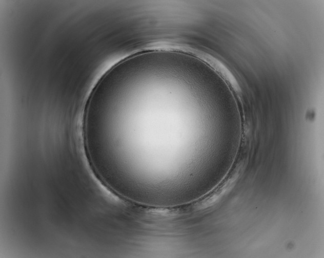 X0000102850855200808181416