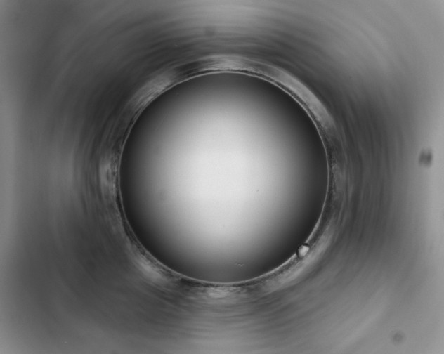 X0000102850857200808181416