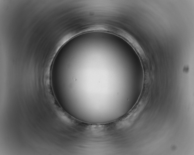 X0000102850858200808181416