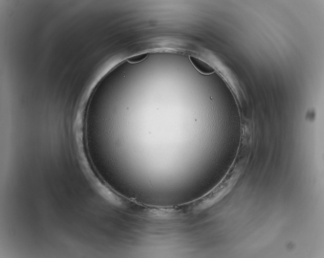 X0000102850859200808181416