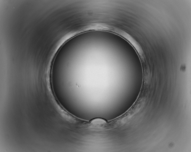 X0000102850861200808181416