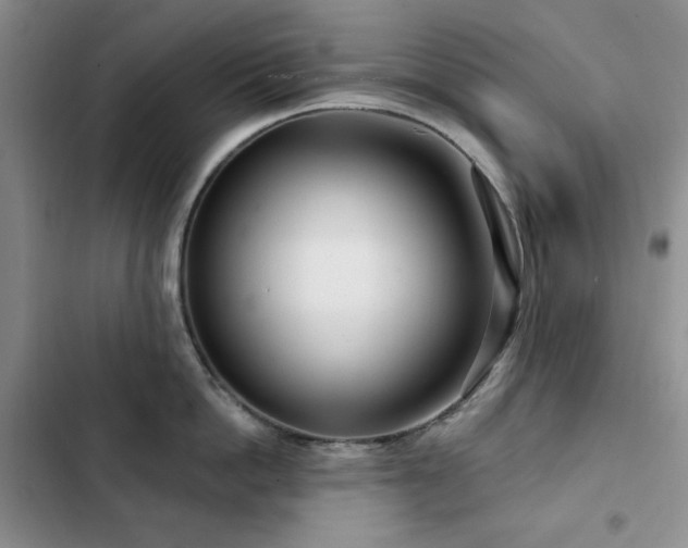 X0000102850862200808181416