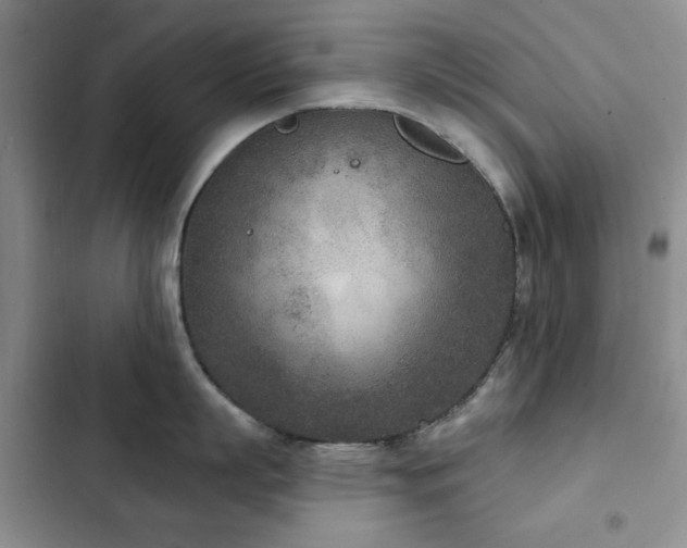 X0000102850863200808181416