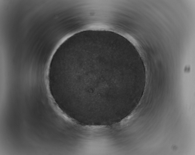X0000102850864200808181416