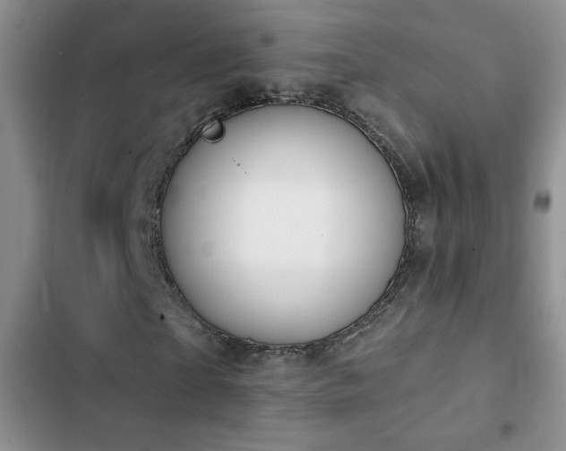 X0000102850865200808181415