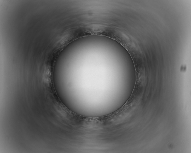 X0000102850866200808181415