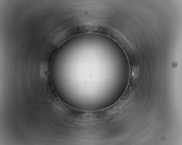 X0000102850867200808181415
