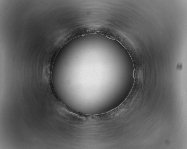 X0000102850868200808181415