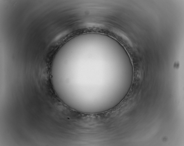 X0000102850869200808181415