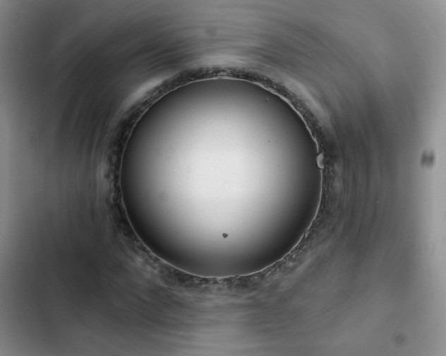 X0000102850872200808181415