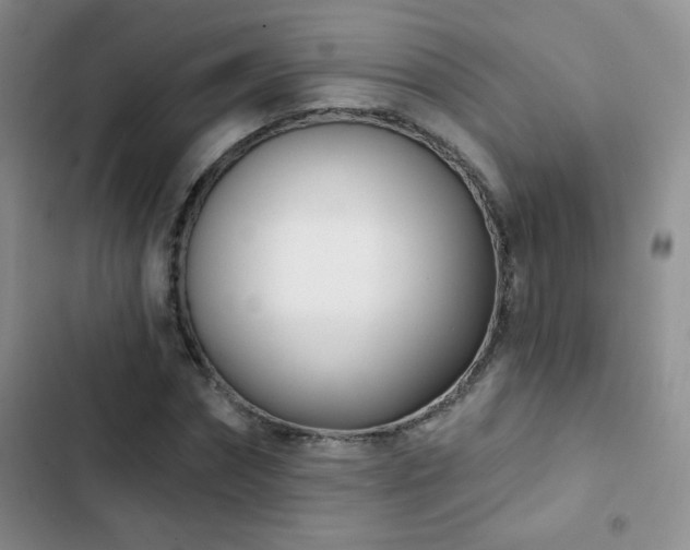 X0000102850874200808181415