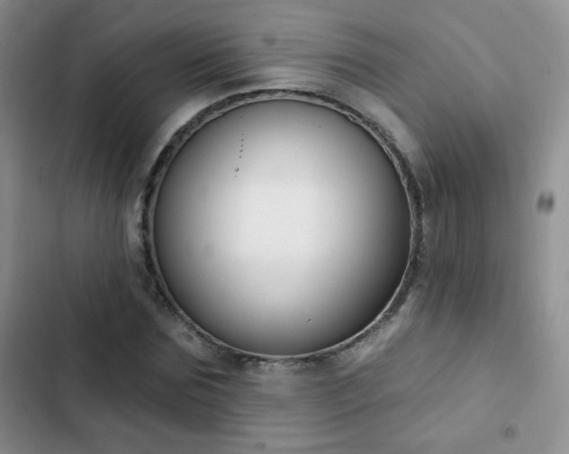 X0000102850875200808181415