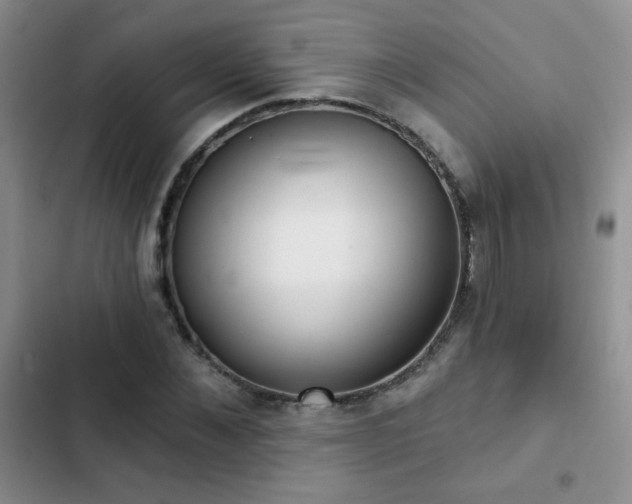 X0000102850876200808181415