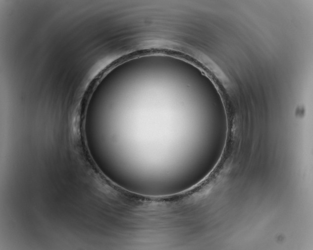 X0000102850877200808181415