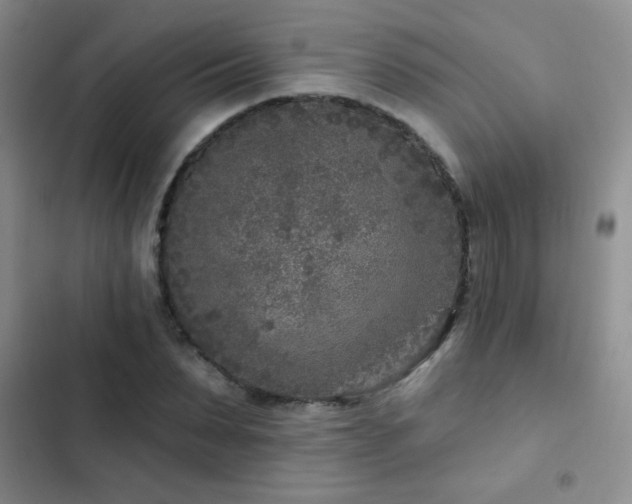 X0000102850879200808181415