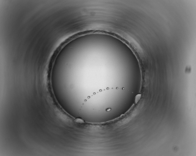 X0000102850880200808181415