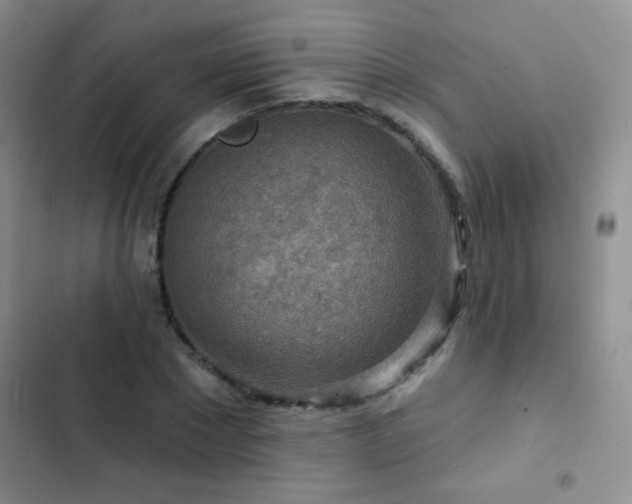 X0000102850881200808181415