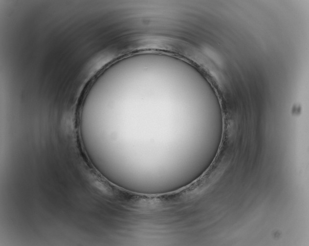 X0000102850882200808181415