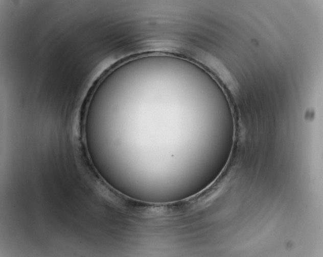 X0000102850883200808181415