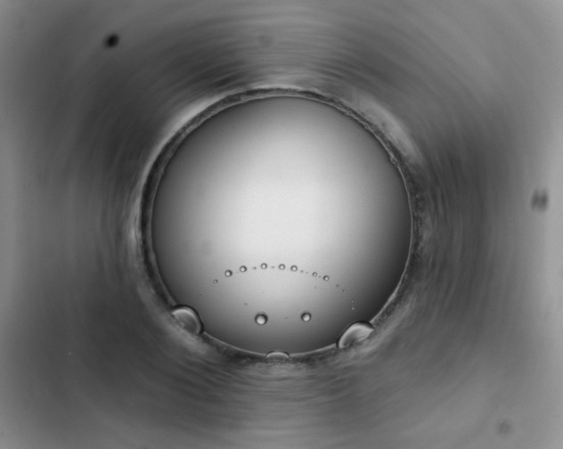 X0000102850884200808181415