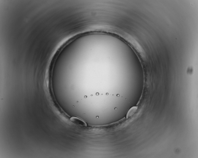 X0000102850888200808181415