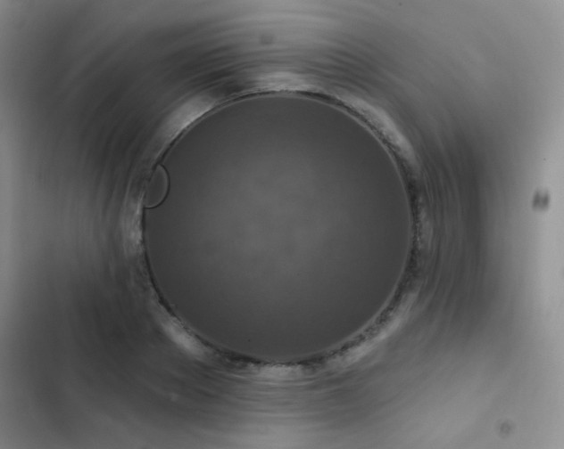 X0000102850889200808181415