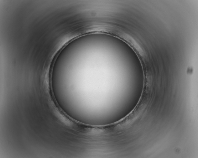 X0000102850890200808181415
