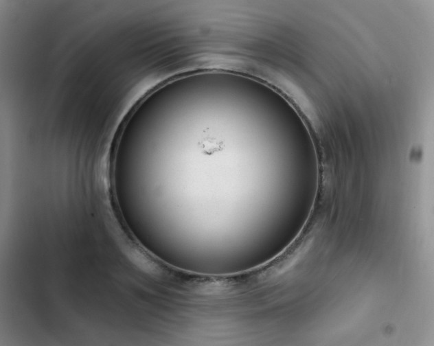 X0000102850891200808181415