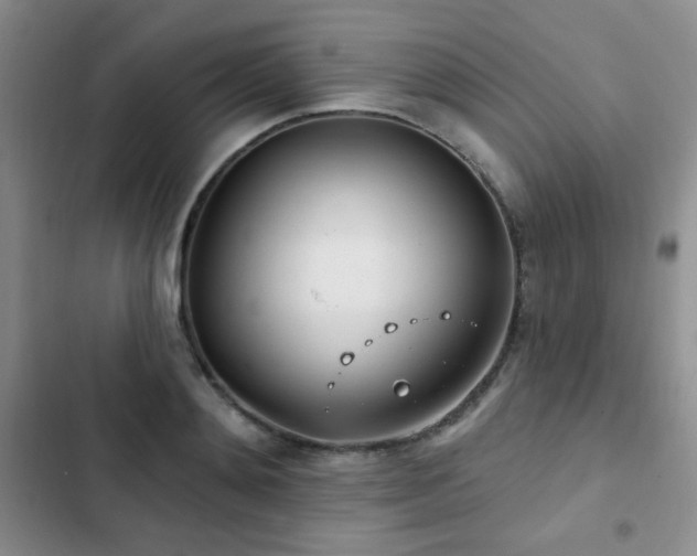 X0000102850892200808181415