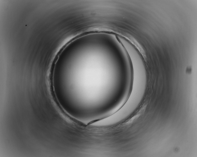 X0000102850893200808181415