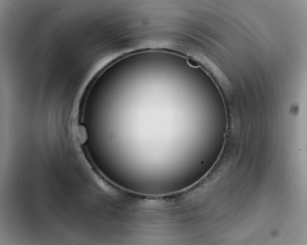 X0000102850894200808181415