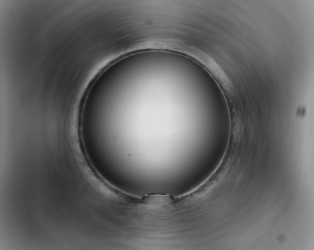 X0000102850896200808181415