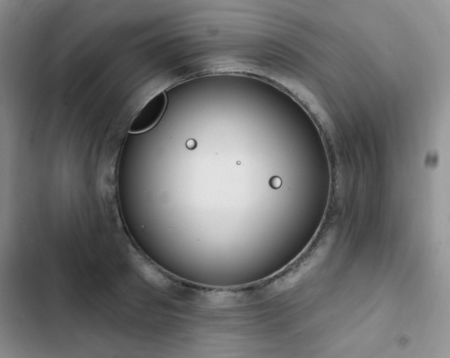 X0000102850897200808181415