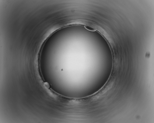 X0000102850898200808181415