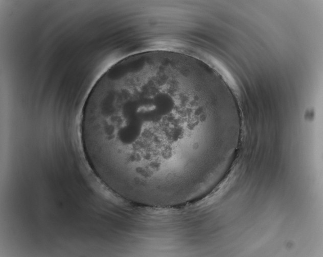 X0000102850899200808181415