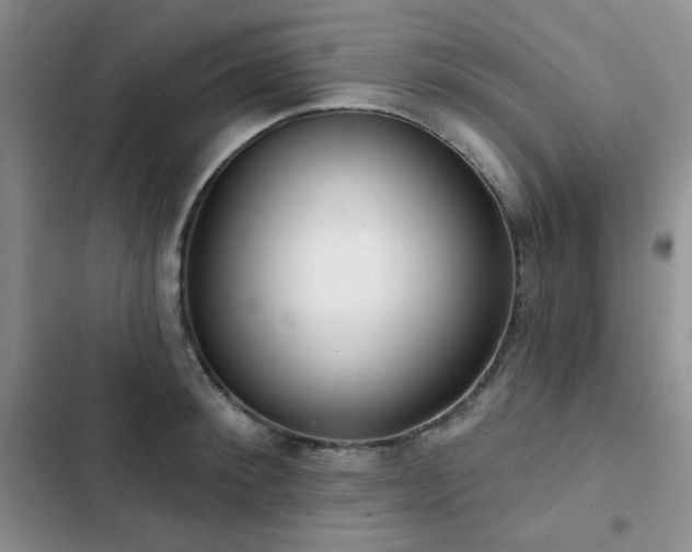X0000102850900200808181415