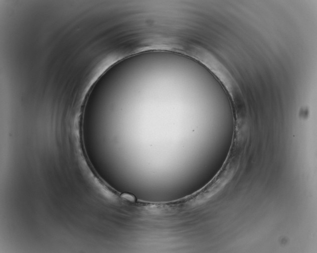 X0000102850906200808181414