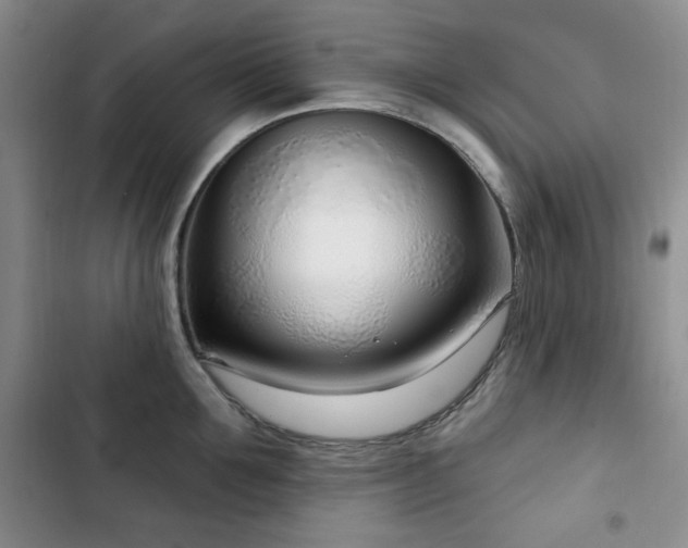 X0000102850907200808181414