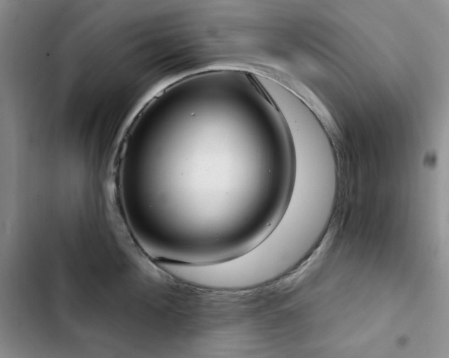 X0000102850908200808181414